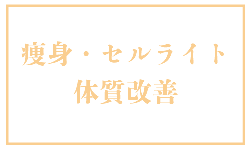 痩身・セルライト・体質改善