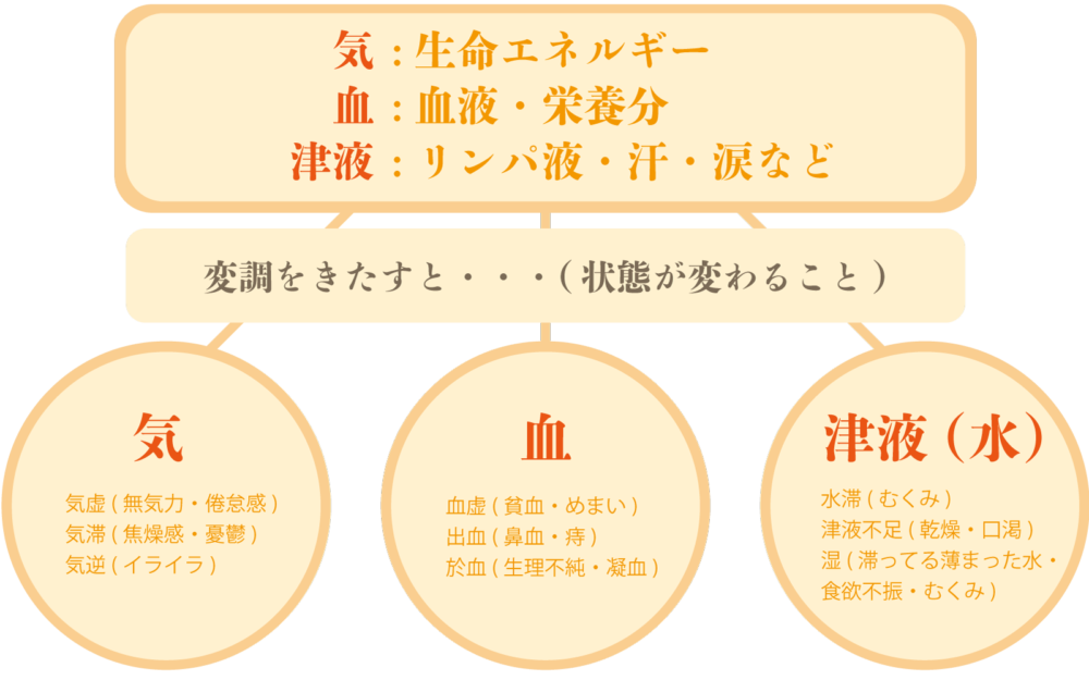 経路リンパ図